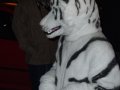 DSCF2689.JPG